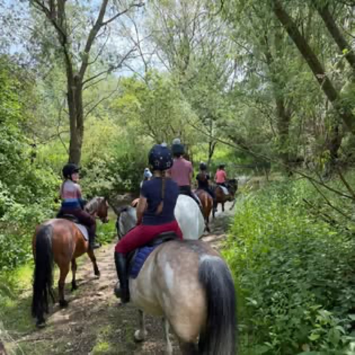 Off-road hacking through the Wiltshire countryside