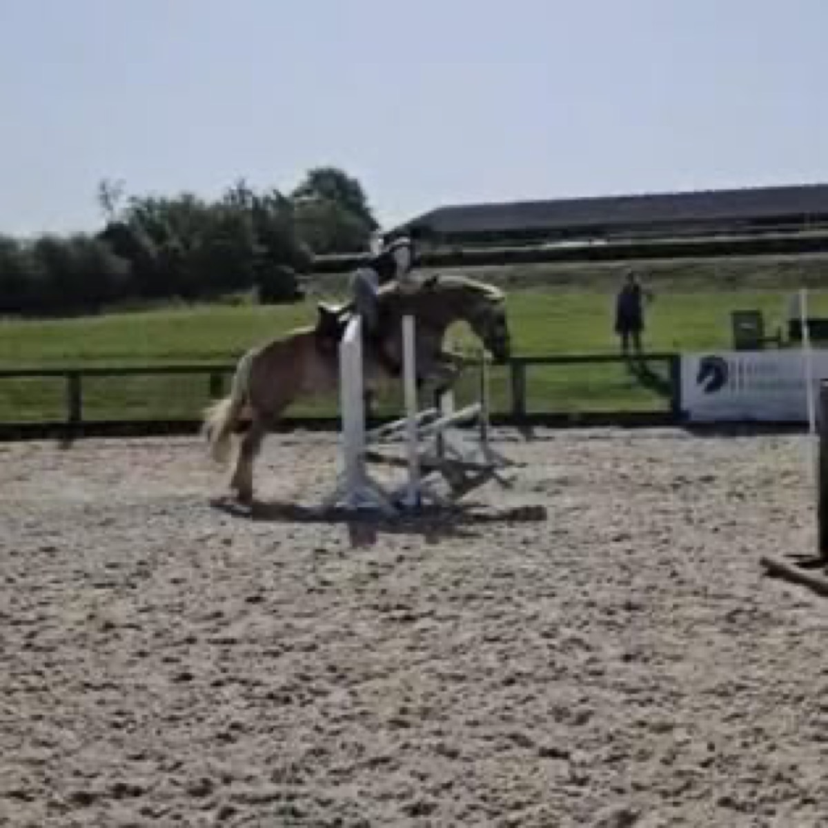 A dressage test at Wickstead Farm