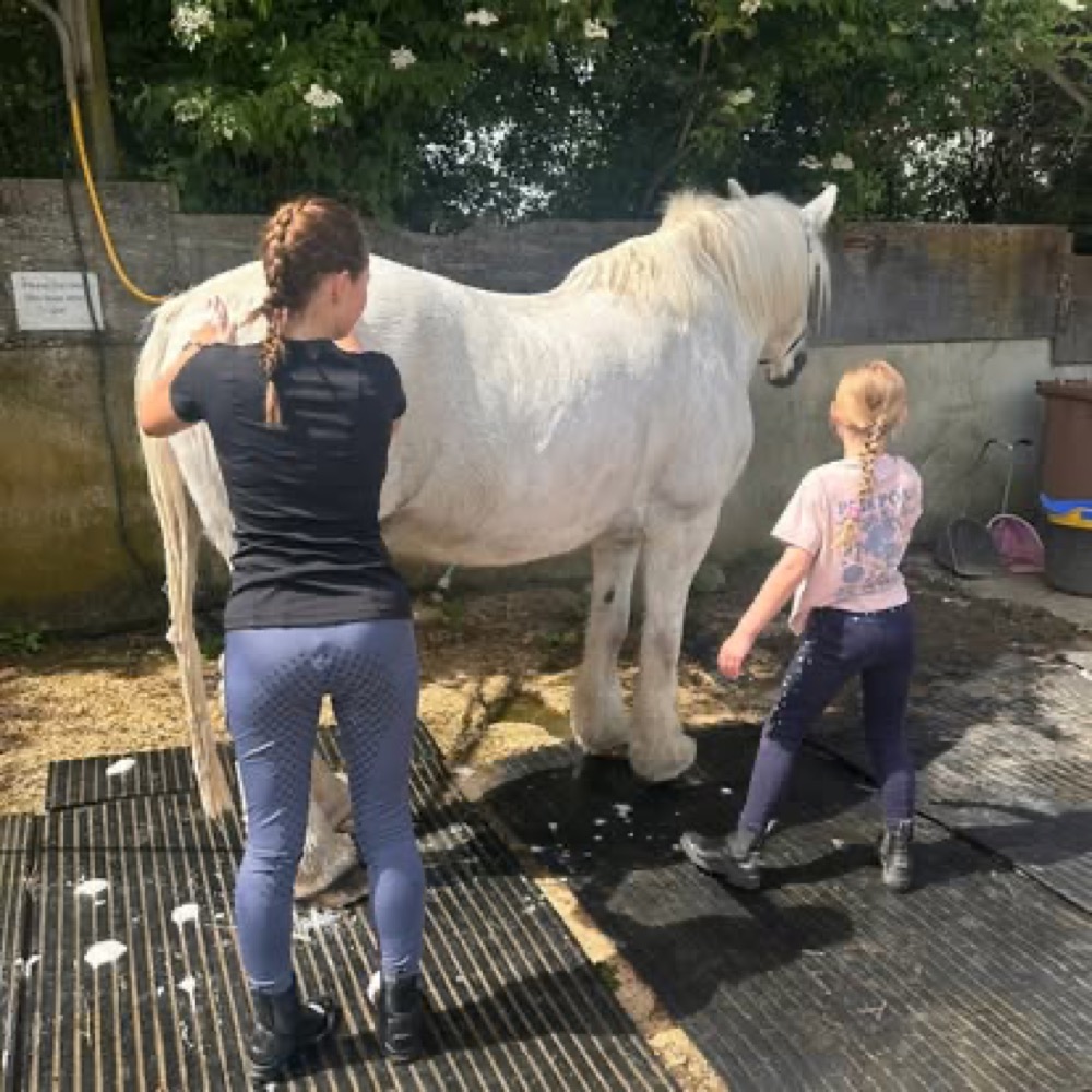 A photo from the Wickstead Farm Facebook page
