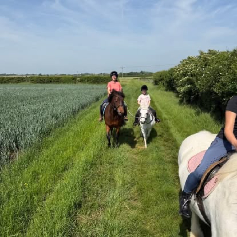 A photo from the Wickstead Farm Facebook page