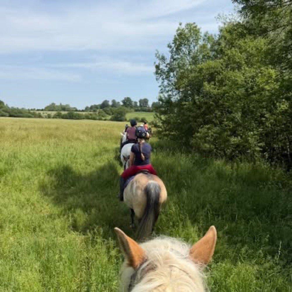 A photo from the Wickstead Farm Facebook page