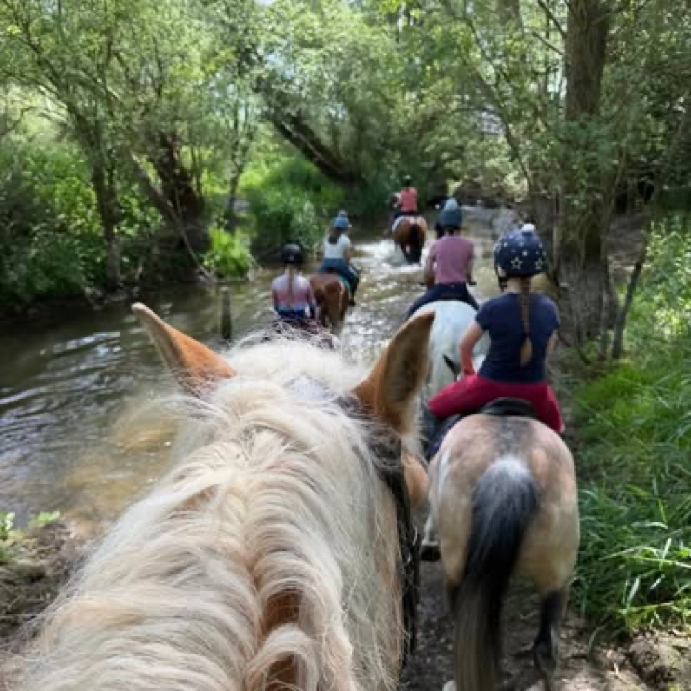A photo from the Wickstead Farm Facebook page