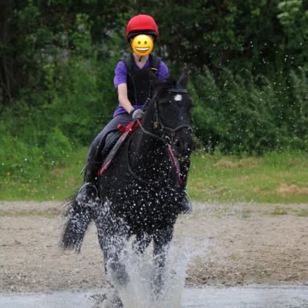 A photo from the Wickstead Farm Facebook page