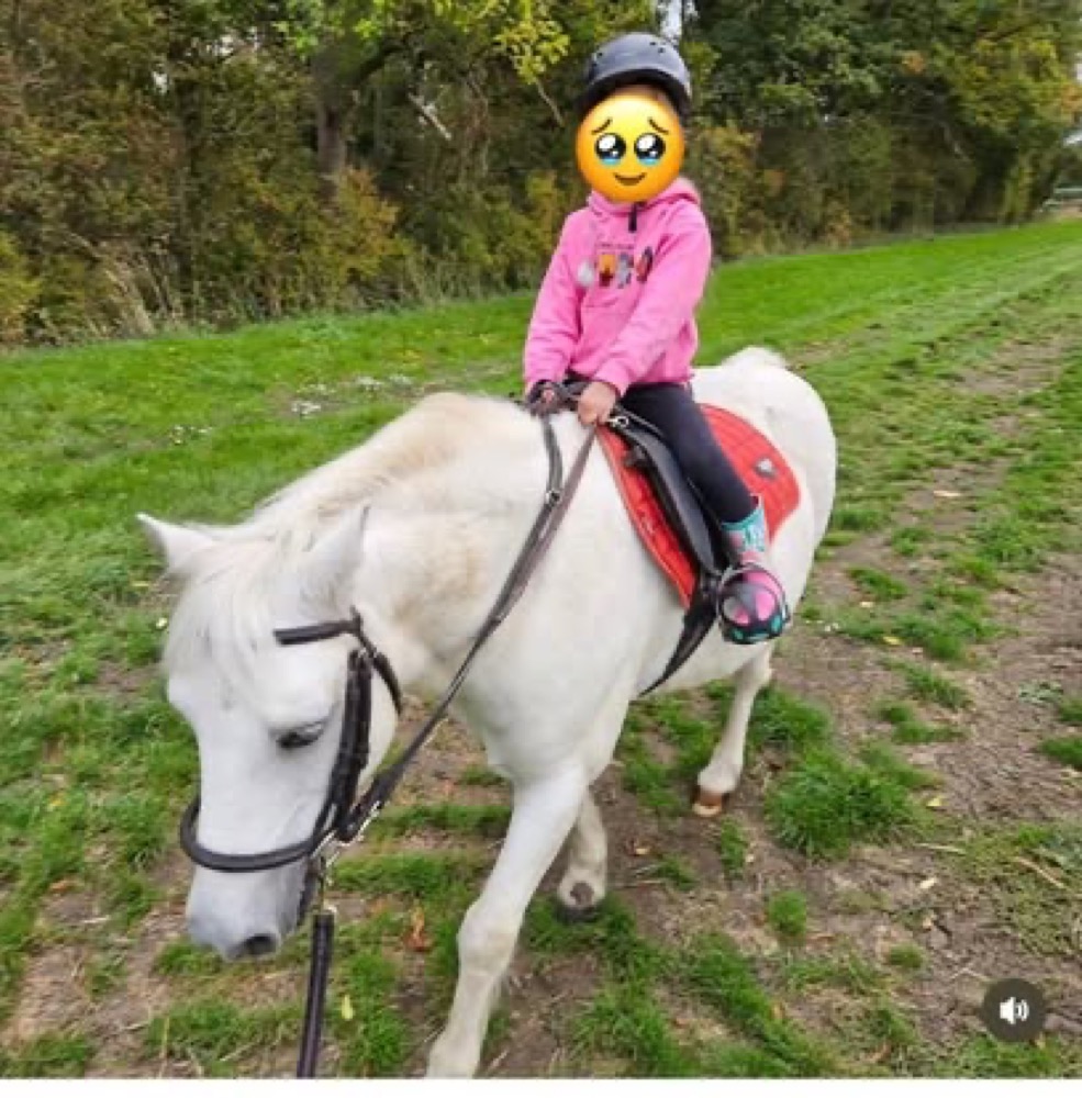 A photo from the Wickstead Farm Facebook page