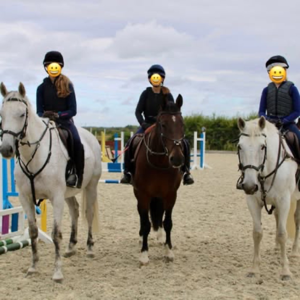 A photo from the Wickstead Farm Facebook page
