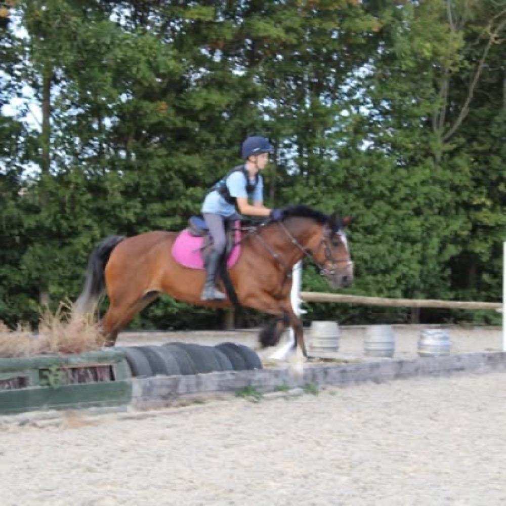 A photo from the Wickstead Farm Facebook page