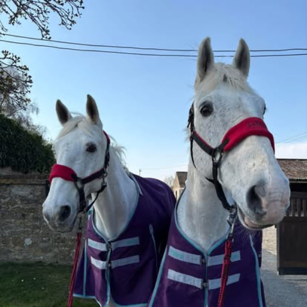 A photo from the Wickstead Farm Facebook page