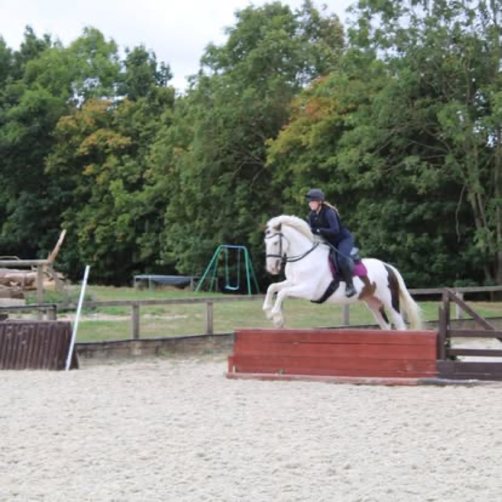 A photo from the Wickstead Farm Facebook page