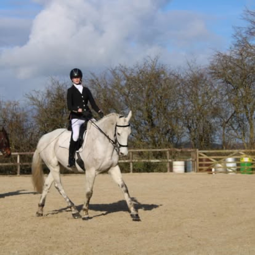 A photo from the Wickstead Farm Facebook page