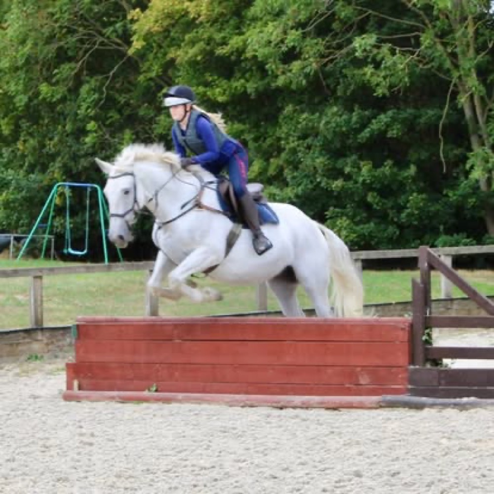A photo from the Wickstead Farm Facebook page