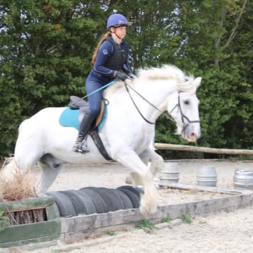 A photo from the Wickstead Farm Facebook page