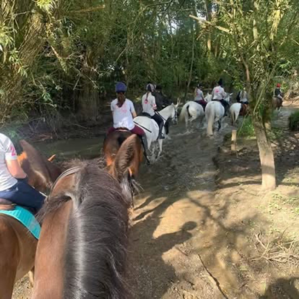 A photo from the Wickstead Farm Facebook page