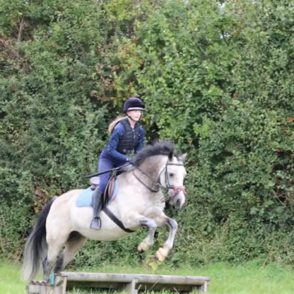 A photo from the Wickstead Farm Facebook page