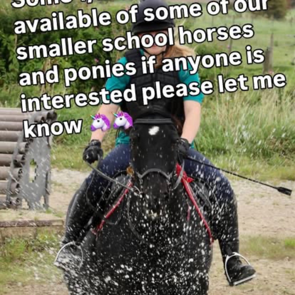 A photo from the Wickstead Farm Facebook page