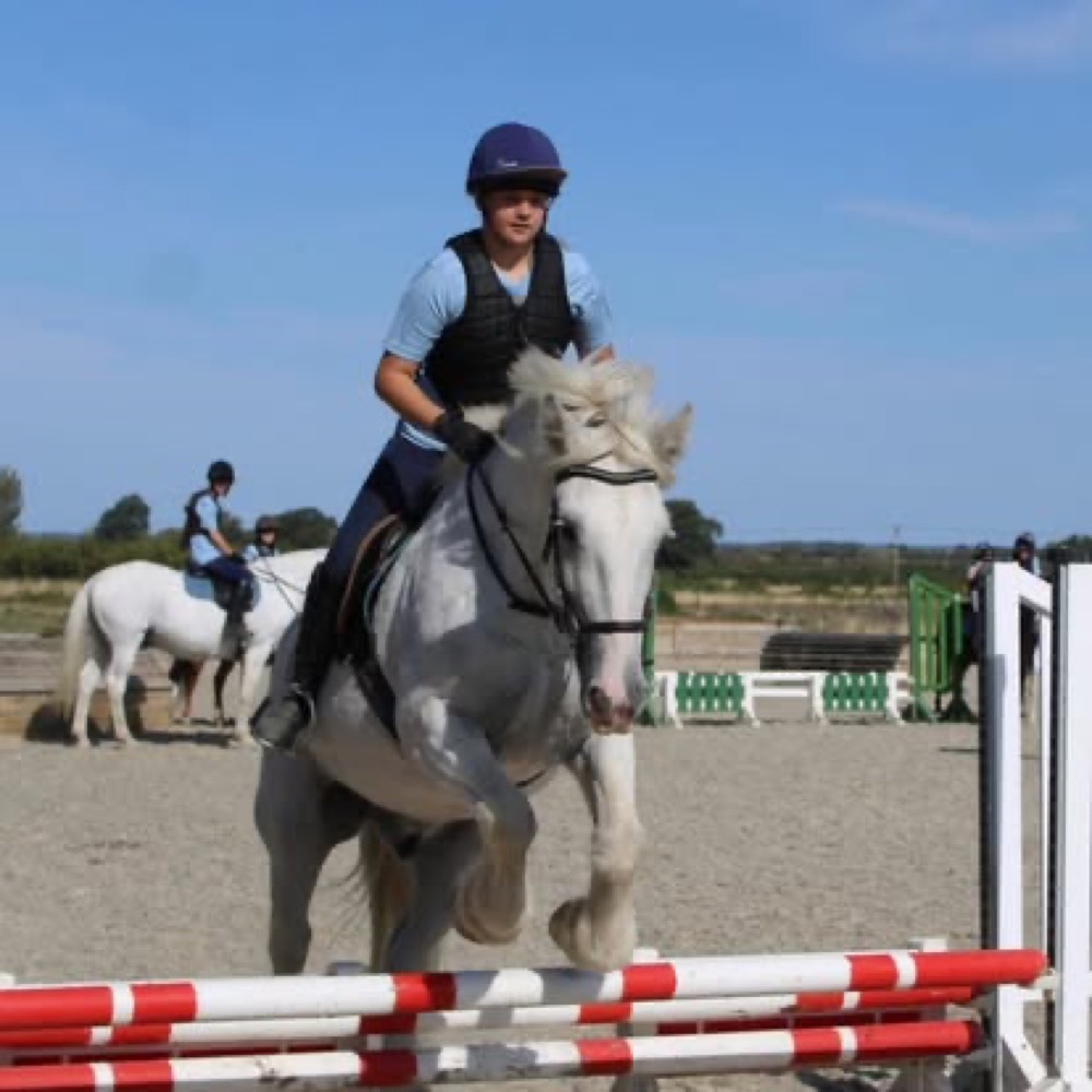 A photo from the Wickstead Farm Facebook page