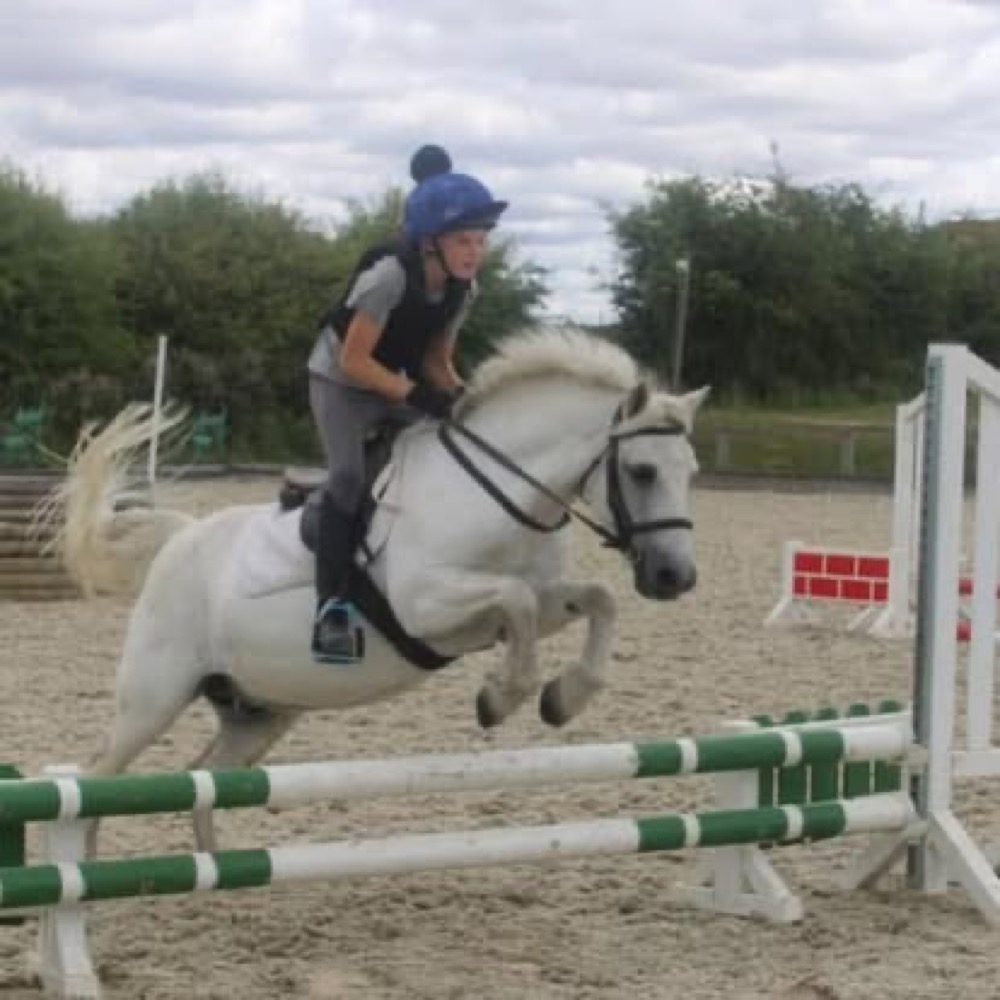 A photo from the Wickstead Farm Facebook page