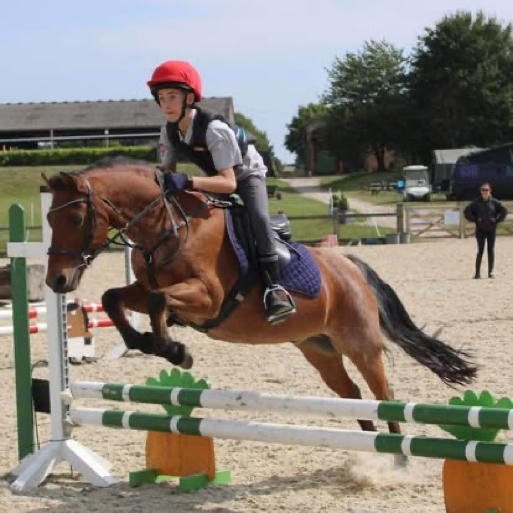 A photo from the Wickstead Farm Facebook page