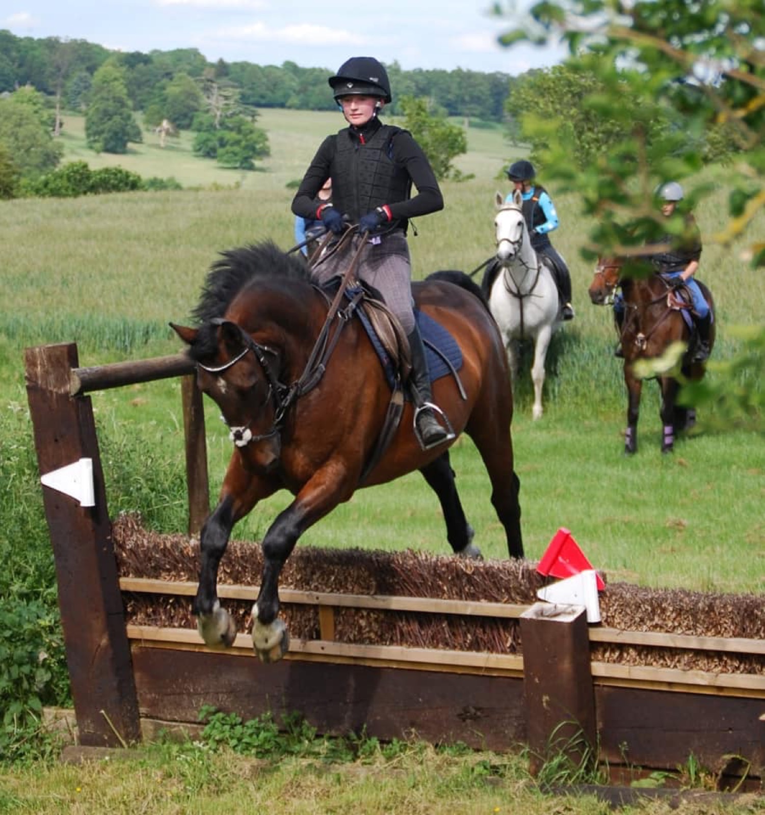 Henry’s Hedge on the cross country course
