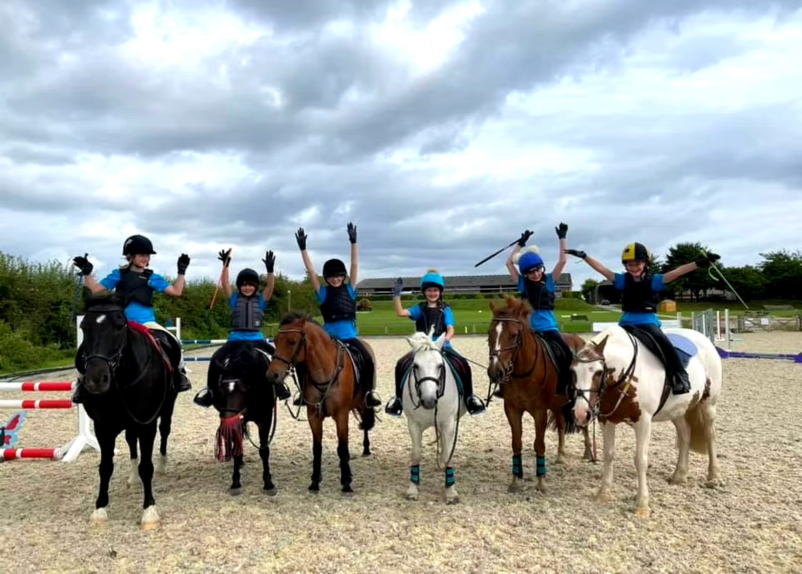 Horses turned out at Wickstead Farm, Wiltshire