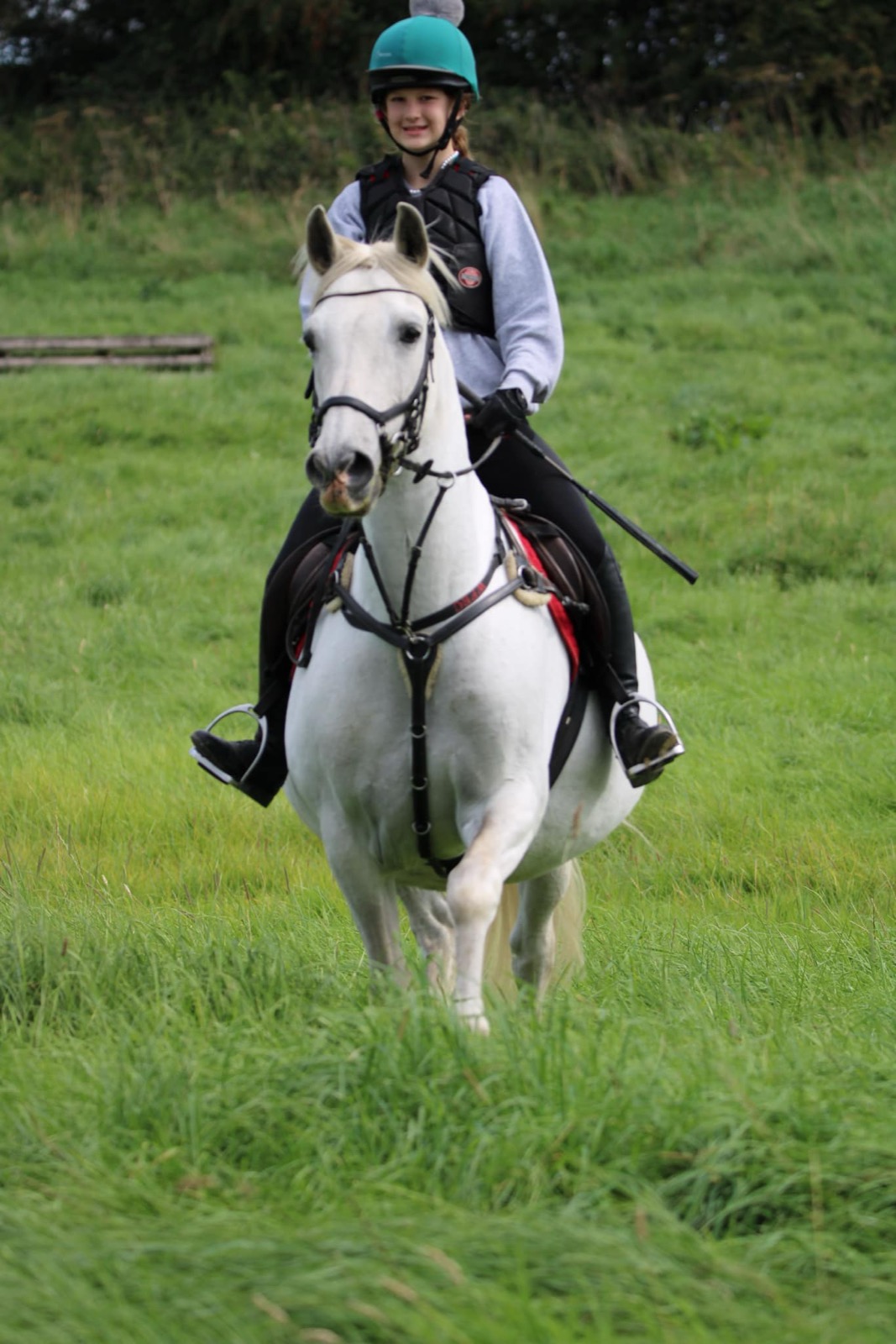 Pony Club activities at Wickstead Farm