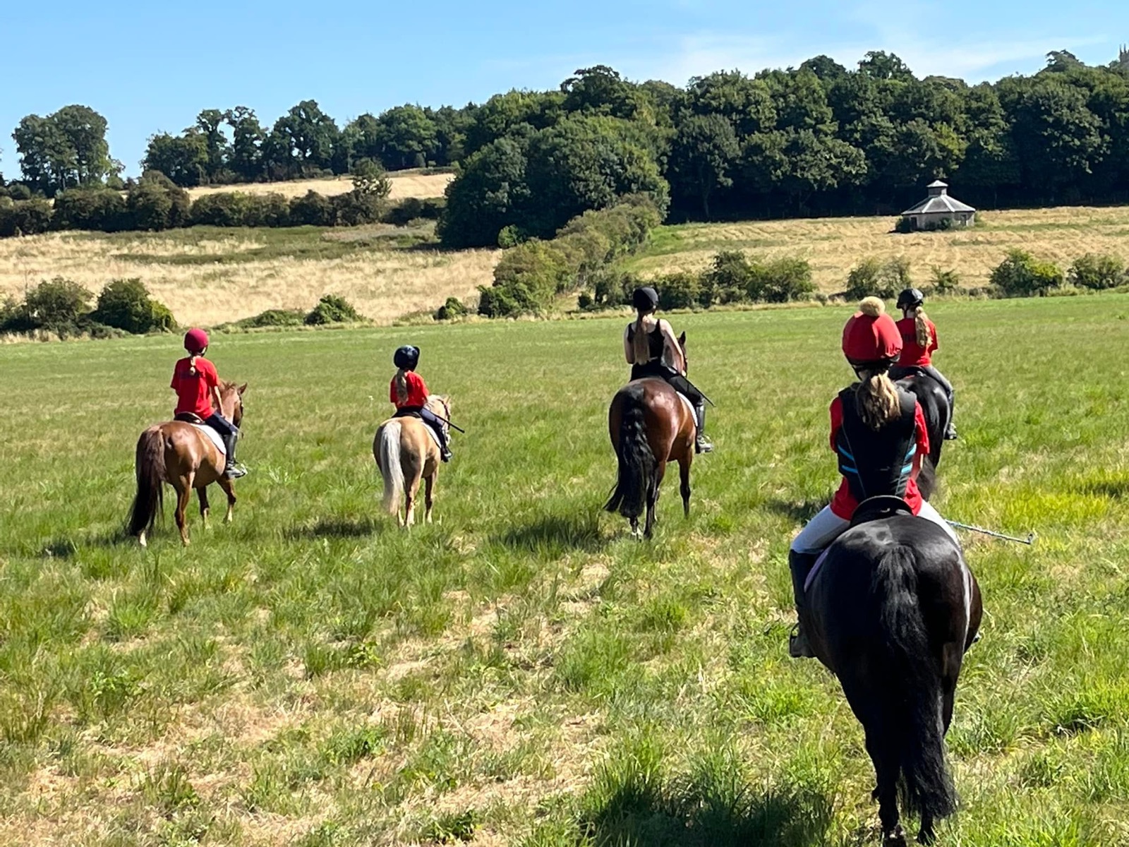 A Share Care pony at Wickstead Farm