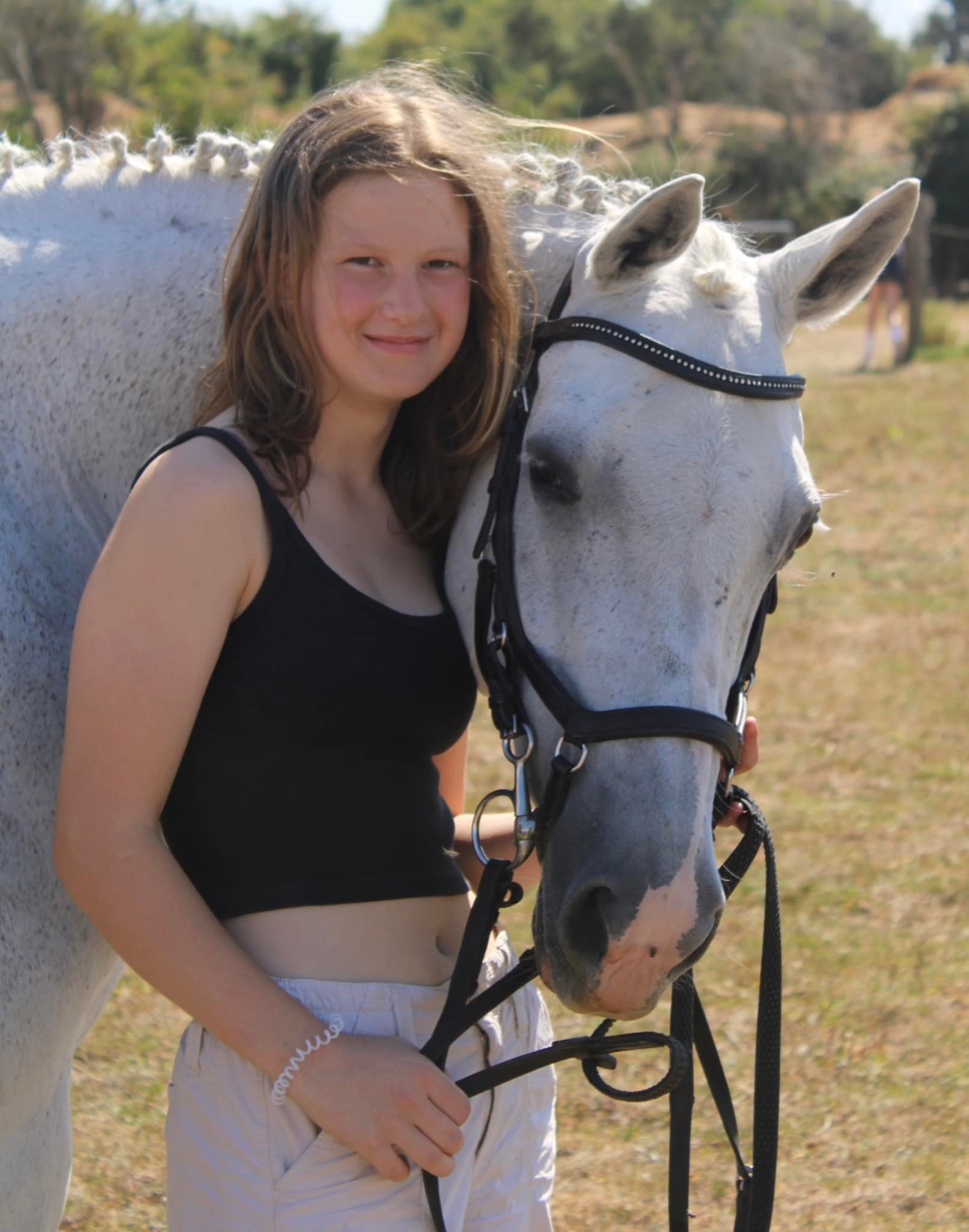 A Share Care horse